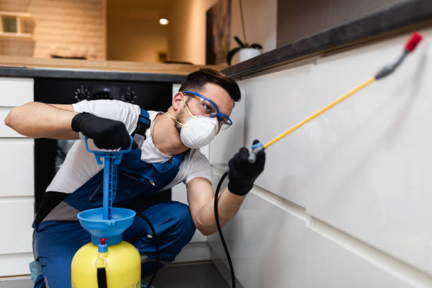 Best Pest Removal Services  in Hennessey, OK