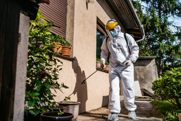 Best Exterminator Services  in Hennessey, OK