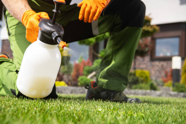Best Residential Pest Control  in Hennessey, OK