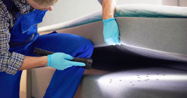 Reliable Hennessey, OK Pest Control Solutions