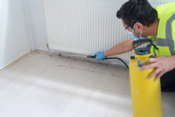 Best Ant Control Services  in Hennessey, OK