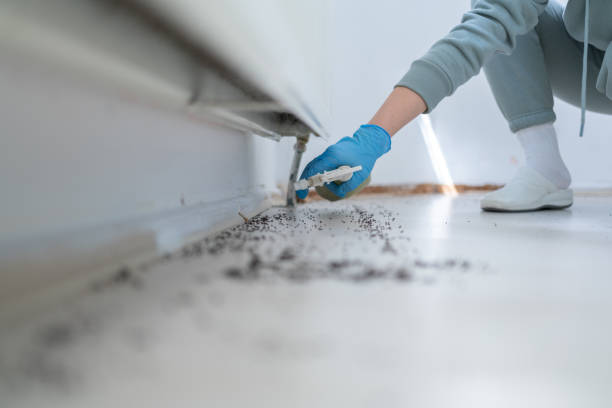 Best Insect Control  in Hennessey, OK